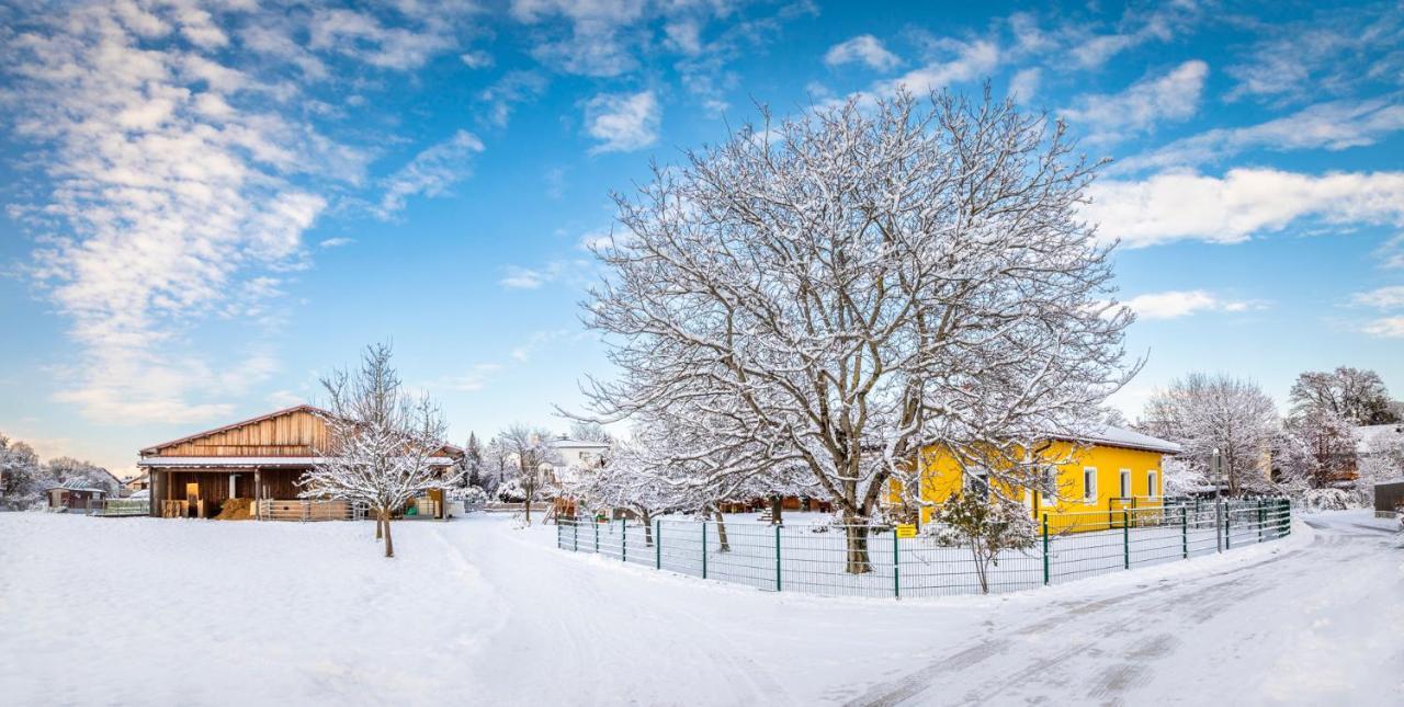 Ferienhaus Schlagerbauer Biohof Salzburg Buitenkant foto